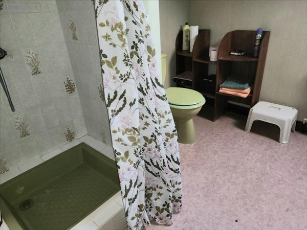 Maison à vendre à Châteauneuf-sur-Cher dans le Cher (18190), ref : 11087071CA