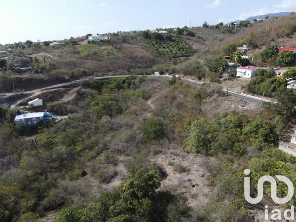 Terrain à vendre 629 m² Vieux-Habitants