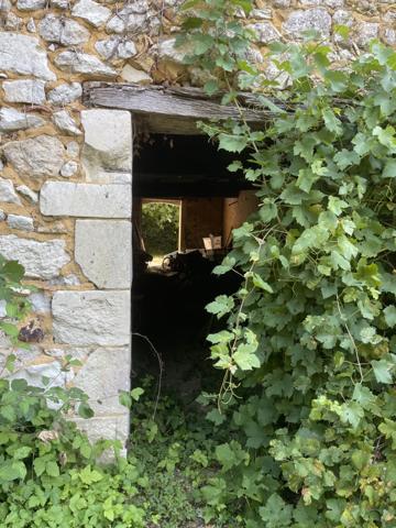Maison de caractère avec dépendance sur 5100 m² de terrain
