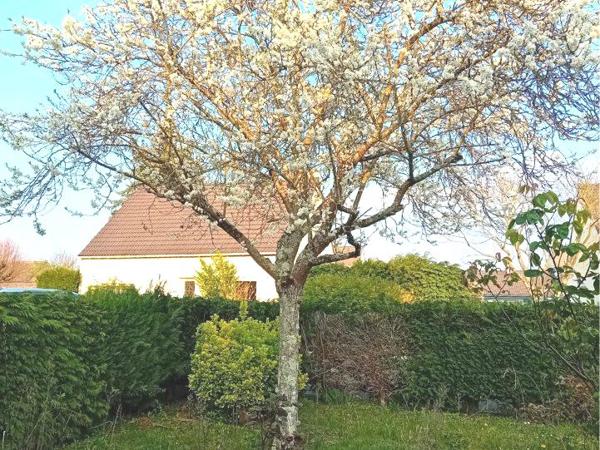 MAISON PLAIN-PIED - F3- 76M²