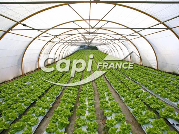 🌾 Ensemble agricole avec maison d’habitation – moins de 50 hectares proche de SAINT POURCAIN SUR SIOULE (03)
