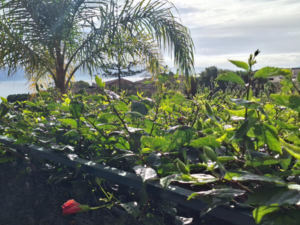 Charmant T2 de 43m² situé sur la route des sanguinaires Ajaccio (20000)