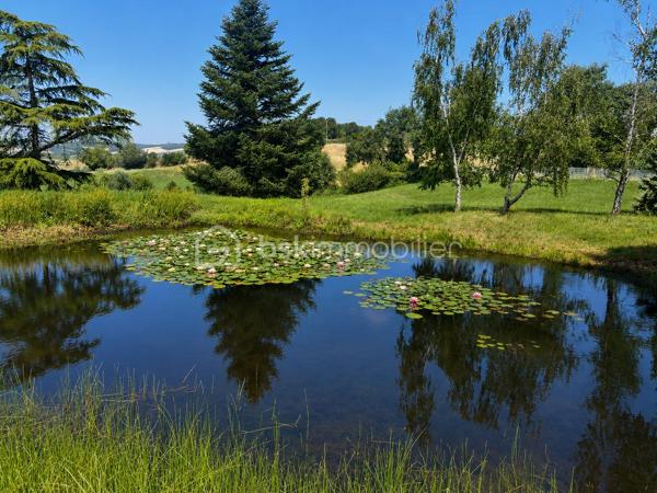 C’est au bout d’un chemin bordé de majestueux pins parasols que se dévoile cette superbe propriété, nichée au cœur d’un environnement préservé et parfaitement arboré.

Dans un cadre naturel d’une rare beauté, au cœur de plus de 25 000 m² de terrain, entre jardins paysagers, mares et espaces de détente, cette vaste demeure de 330 m² entièrement rénovée en 2010 offre un cadre de vie exceptionnel où calme, confort et élégance se conjuguent harmonieusement.

La maison principale propose de généreux volumes avec cinq chambres, de belles pièces de vie, une cuisine conviviale ouverte sur un agréable patio, ainsi qu’une véranda offrant une vue apaisante sur le parc. La salle à manger est sublimée par un magnifique poêle en faïence, véritable élément de caractère. La propriété dispose également de trois salles d’eau, garantissant un confort optimal au quotidien.

Un appartement T3 indépendant avec salle d’eau complète idéalement l’ensemble, permettant d’accueillir famille, amis ou de développer une activité de gîte ou de location saisonnière.

À l’extérieur, le domaine révèle tout son charme avec son magnifique parc arboré, ses mares, ses espaces ombragés et ses nombreux aménagements pensés pour profiter pleinement de la nature et de la sérénité des lieux.

Les prestations complémentaires séduiront les amateurs d’authenticité et d’espace :
• 330 m² habitables
• Terrain d’environ 25 000 m²
• 5 chambres
• 3 salles d’eau
• Appartement T3 indépendant
• Hangar d’environ 100 m²
• Cave à vin
• Cave de stockage
• Chalets en bois
• Patio et véranda
• Poêle en faïence
• Vue dégagée sur la campagne environnante
• Environnement calme et sans nuisance

Une propriété rare, offrant un cadre de vie privilégié où nature, espace et confort se rencontrent harmonieusement. Un lieu idéal pour une résidence familiale, un projet d’accueil ou simplement pour profiter d’un environnement exceptionnel à l’abri de toute agitation.