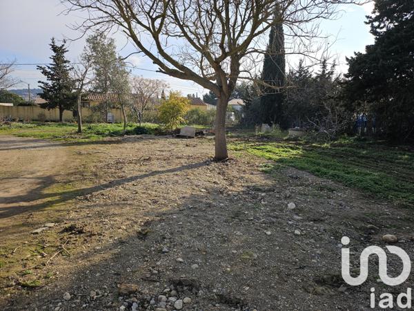 Terrain à vendre 500 m² Ferrals-les-Corbières