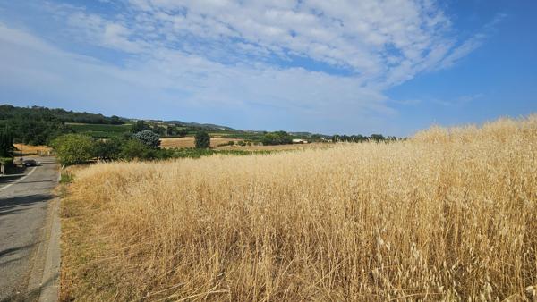 Terrain Routier