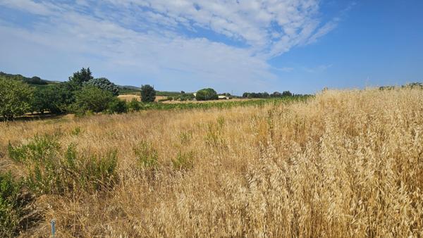 Terrain Routier