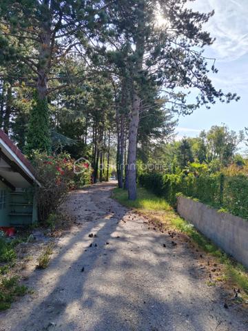 Sur la côte d'opale Merlimont à 5mns du Touquet, toutes commodités aux alentours, terrain sur plus de 2 hectares, avec habitation en cour de construction (clos et couvert sur environ 200 M2 habitable), dans un cadre privilégié très calme en pleine nature.
Propriété d'exception.