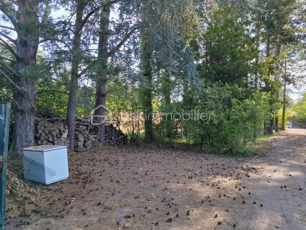 Sur la côte d'opale Merlimont à 5mns du Touquet, toutes commodités aux alentours, terrain sur plus de 2 hectares, avec habitation en cour de construction (clos et couvert sur environ 200 M2 habitable), dans un cadre privilégié très calme en pleine nature.
Propriété d'exception.