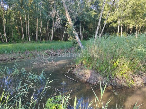 Sur la côte d'opale Merlimont à 5mns du Touquet, toutes commodités aux alentours, terrain sur plus de 2 hectares, avec habitation en cour de construction (clos et couvert sur environ 200 M2 habitable), dans un cadre privilégié très calme en pleine nature.
Propriété d'exception.