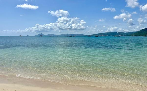 Appartement à vendre    1 pièce • 20 m2 Sainte-Anne