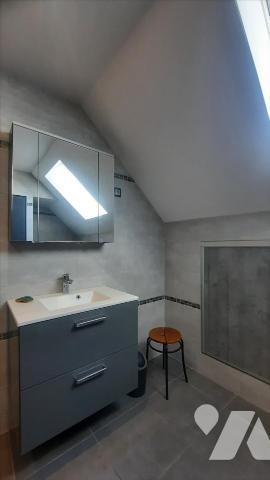 THEILLAY (41) maison solognote offrant de grands espaces