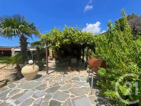 Maison à vendre  7 pièces - 261,30 m2 PATRIMONIO - 202