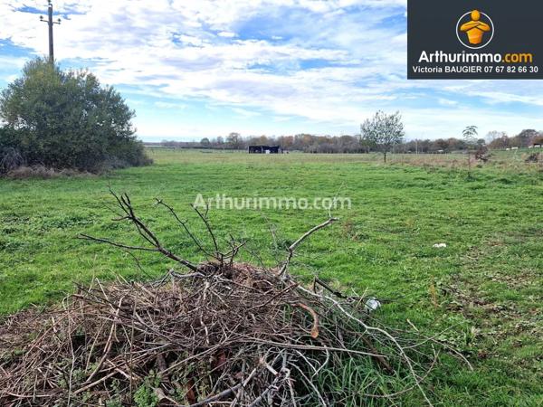 Vente Terrain 1226 m2 à Courlans