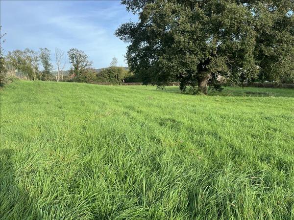 Terrain à vendre |  Vaux |  1785 m²