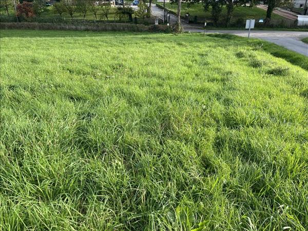 Terrain à vendre |  Vaux |  1785 m²