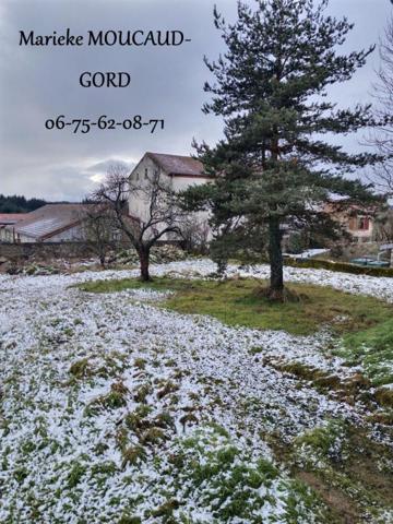 BOISSET 43500 Centre village Maison en pierre 155 m² avec terrain 1000 m²entièrement à aménager