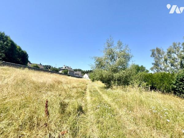 PROPRIÉTÉ D’EXCEPTION À RÉNOVER - CORPS DE FERME EN PIERRE AU CŒUR DE L'AUBRAC (48310 FOURNELS)