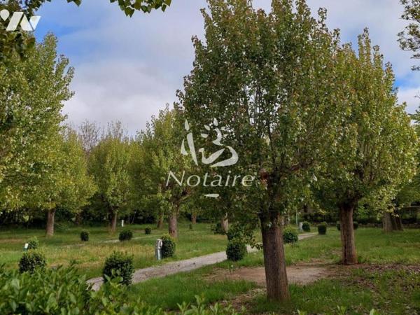 PARC RÉSIDENTIEL DE LOISIRS – PARCELLES EN PLEINE PROPRIÉTÉ À SAILLAGOUSE (CERDAGNE)