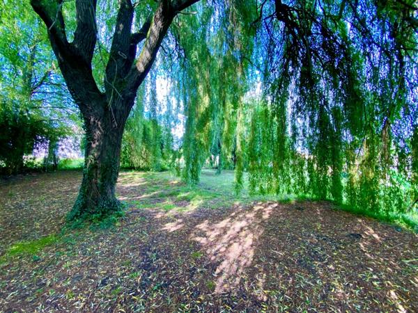 Maison atypique 5 pièces en excellent état avec grand terrain Proche de VILLENEUVE DE MARSAN (40) à SAINT GEIN