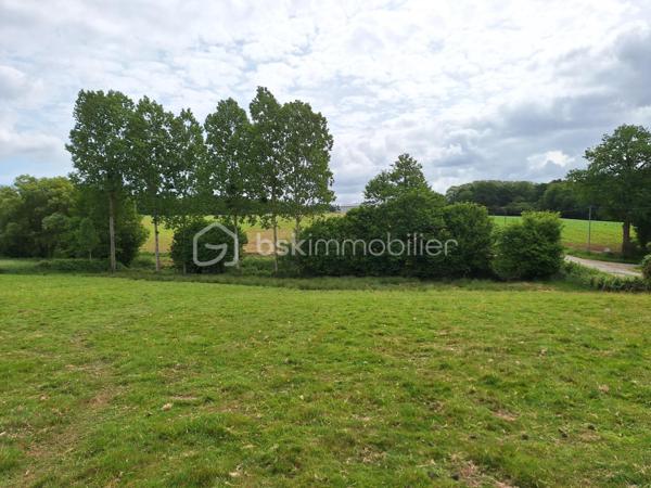 Terrain agricole de 6 000 m²