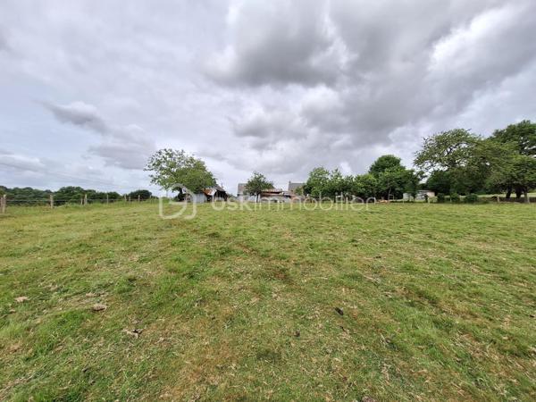 Terrain agricole de 6 000 m²