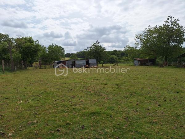 Terrain agricole de 6 000 m²