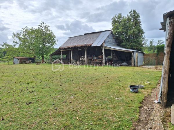 Terrain agricole de 6 000 m²