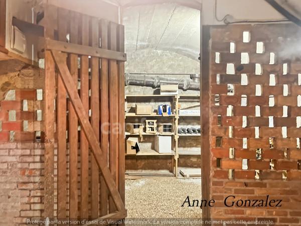 ORLEANS Carré OR, à vendre grande Maison Bourgeoise entièrement rénovée par Architecte d'intérieur avec patio intérieur et jaccuzzi à l'abri des regards