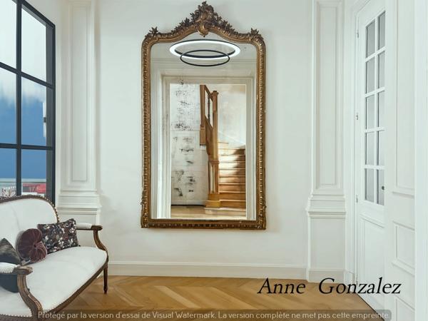 ORLEANS Carré OR, à vendre grande Maison Bourgeoise entièrement rénovée par Architecte d'intérieur avec patio intérieur et jaccuzzi à l'abri des regards