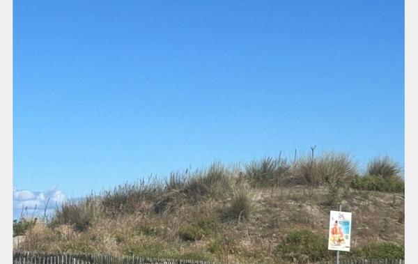 Vente Studio + Parking Commun rénové(e) Port-camargue