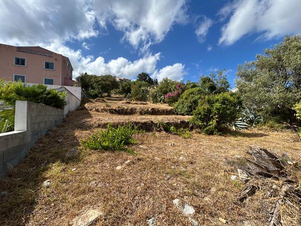 A vendre - Terrain constructible - Bastia
