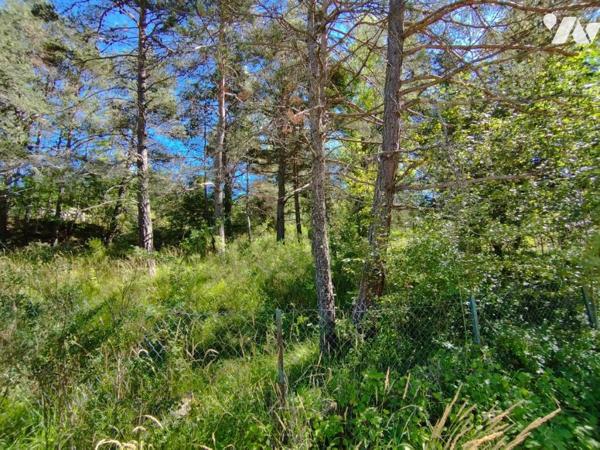 Vente Terrain à bâtir à Seyne 