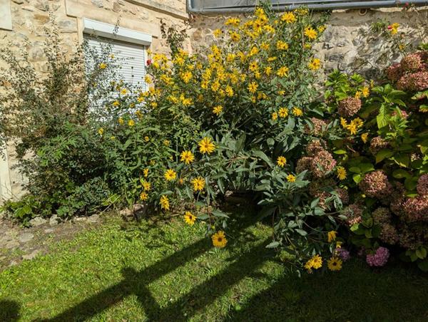 Proche CREPY EN VALOIS - Maison  de caractère - 6 pièce(s) - 160 m2