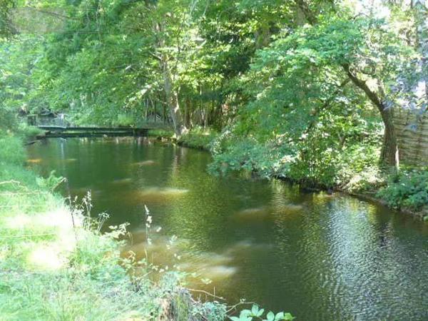 Achat - Propriété | Maison de maître Jeanménil 88700 16 pièces 580 m 2 35784 m 2