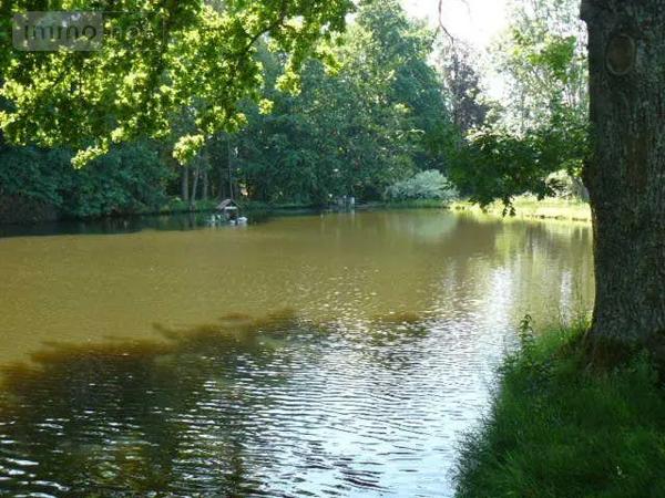 Achat - Propriété | Maison de maître Jeanménil 88700 16 pièces 580 m 2 35784 m 2