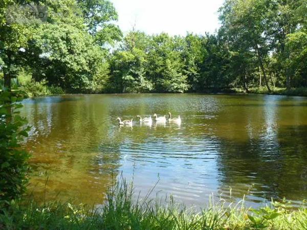 Achat - Propriété | Maison de maître Jeanménil 88700 16 pièces 580 m 2 35784 m 2