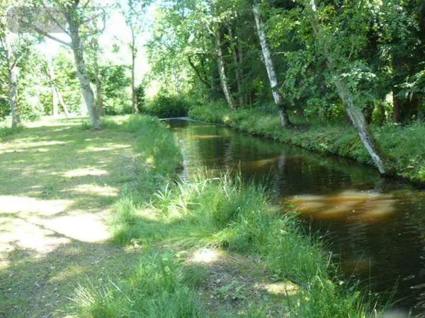 Achat - Propriété | Maison de maître Jeanménil 88700 16 pièces 580 m 2 35784 m 2