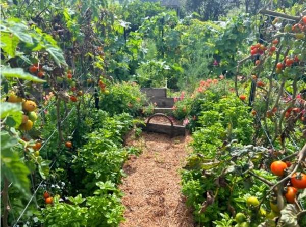 PROPRIETE avec FERME rénovée T8 - TERRAIN de 7100 m2 proche CHARMES (88)