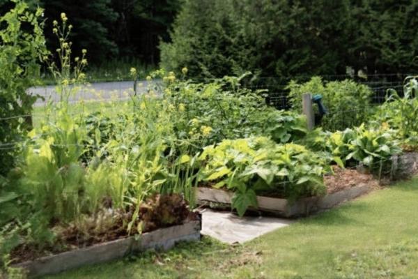 PROPRIETE avec FERME rénovée T8 - TERRAIN de 7100 m2 proche CHARMES (88)