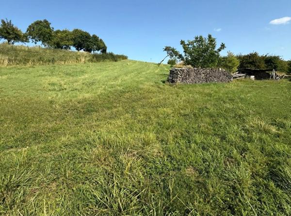 PROPRIETE avec FERME rénovée T8 - TERRAIN de 7100 m2 proche CHARMES (88)