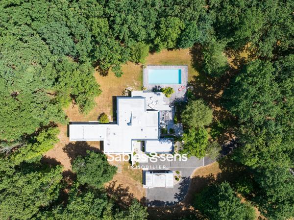 Villa contemporaine avec piscine nichée dans un parc boisé