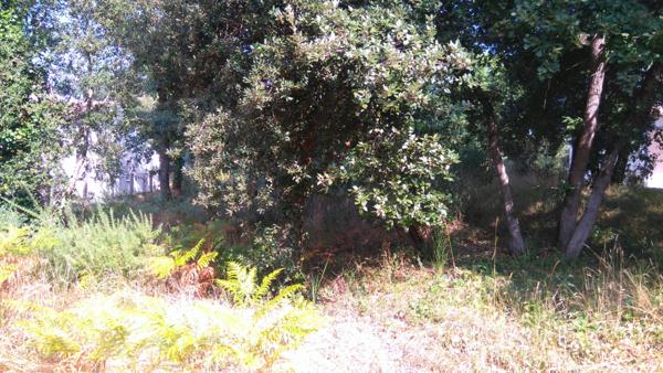 TERRAIN à BATIR de 850m² - Quartier calme - LES MATHES - LA PALMYRE