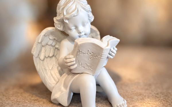 Maison à vendre    5 pièces •  Serres-Castet