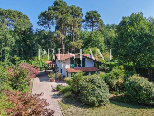Un écrin de verdure au cœur de Gradignan – Charme basque, calme absolu et confort moderne, GRADIGNAN