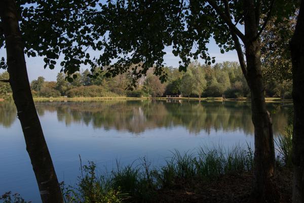 Geneuille (25870) Maison sur grande parcelle