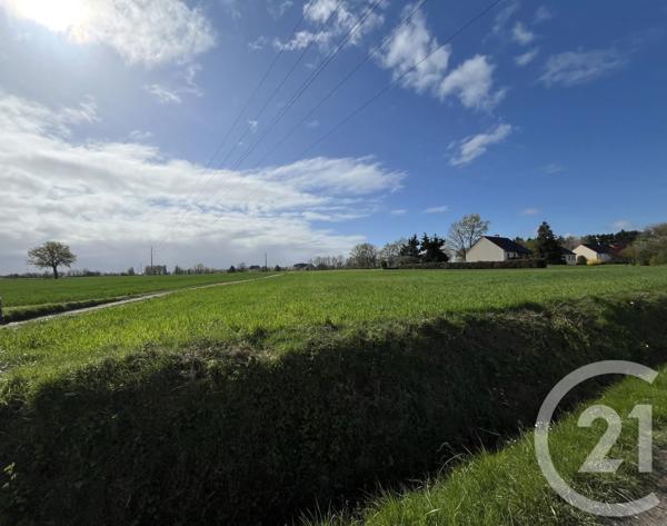 Terrain à vendre  6839 m 2   LE MAGNY  - 36