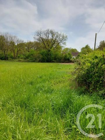 Terrain à vendre  6839 m 2   LE MAGNY  - 36