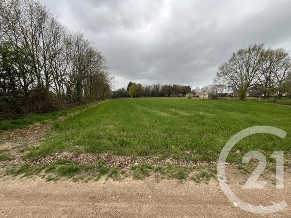 Terrain à vendre  6839 m 2   LE MAGNY  - 36