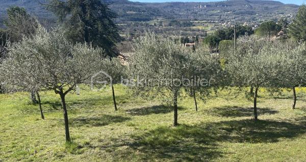 Maison contemporaine de 167 m²