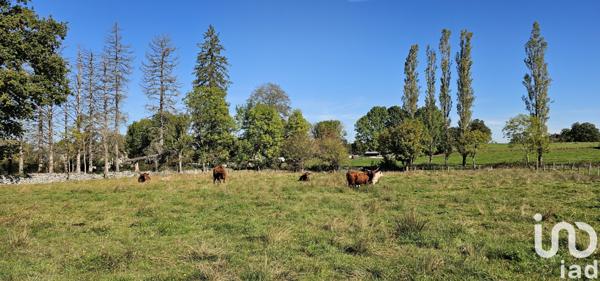 Maison à vendre 2 pièces 320 m² Chaussenac